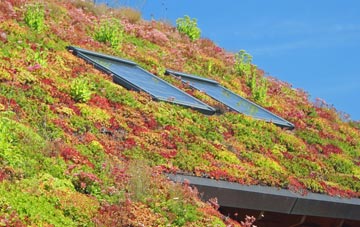 Newbold Verdon living roof systems